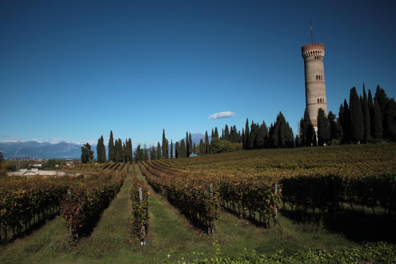 Casa Lorena Desenzano del Garda Eksteriør billede